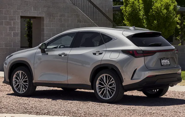 SUV, structure, Suite, exterior, metallic silver, Lexus NX, 2022, Lexus NX Hybrid