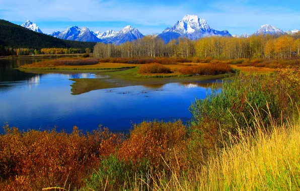 Autumn, grass, snow, trees, mountains, lake, river, Wyoming
