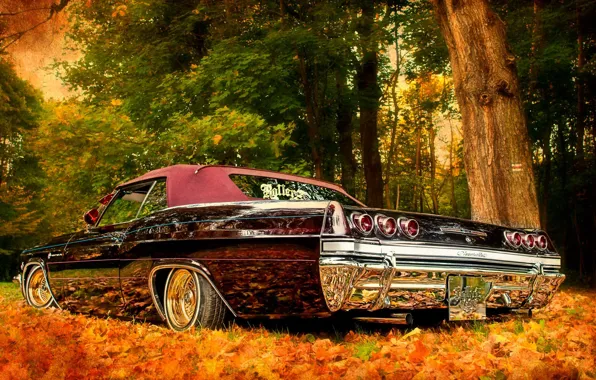Auto, autumn, nature, Shine, Chevrolet