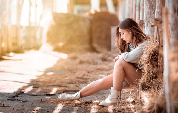 Picture girl, light, pose, hay, legs, Denis Tretyakov