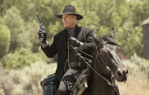 Picture weapons, horse, frame, hat, gloves, the series, cowboy, revolver