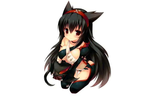 Picture Monster Hunter, white background, girl, kitty, neko