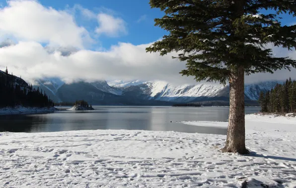Winter, the sky, clouds, snow, trees, mountains, lake, island