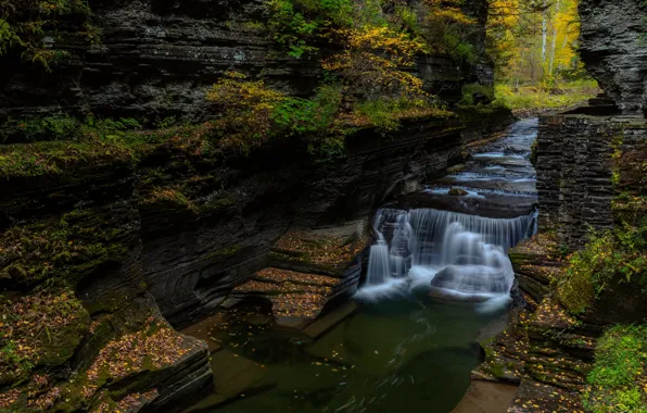 Autumn, forest, rocks, shore, foliage, waterfall, falling leaves, cascade