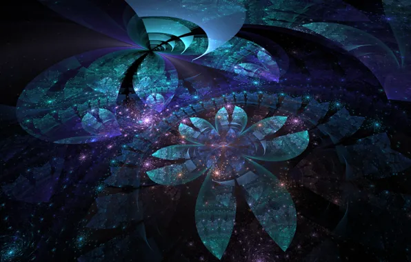 Picture light, flowers, pattern, petals, twilight