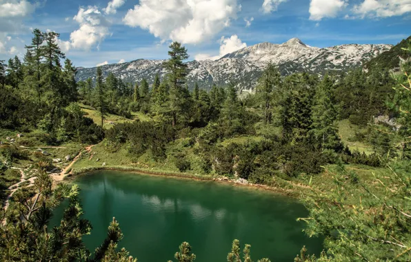 Forest, mountains, lake, Austria, Alps, Austria, Alps, Styria