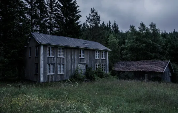 Forest, grass, clouds, trees, house, the barn, wooden