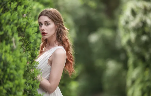 Look, girl, hair, dress