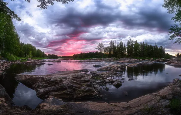 Picture forest, summer, river, Finland