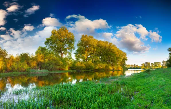 The sky, grass, trees, river, landscape, nature