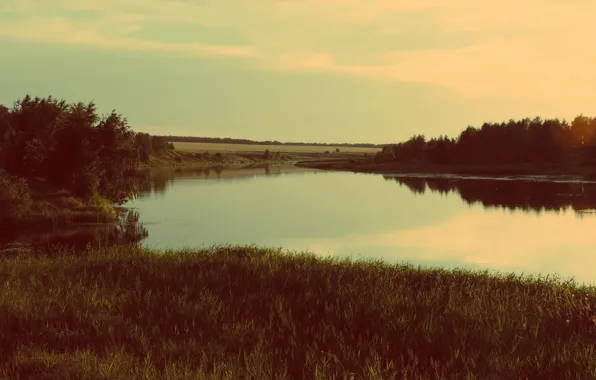 Summer, surface, silence, Water, Trees, River, Shore, Beauty