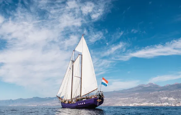 Sea, coast, ship, sailboat, rear, Atlantic, sail, The Canary Islands