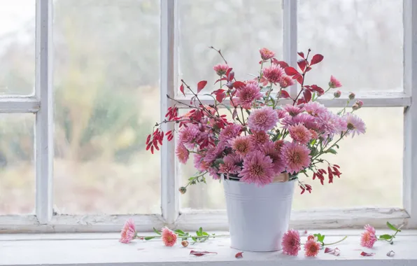 Picture leaves, flowers, branches, bouquet, window, sill, pink, chrysanthemum