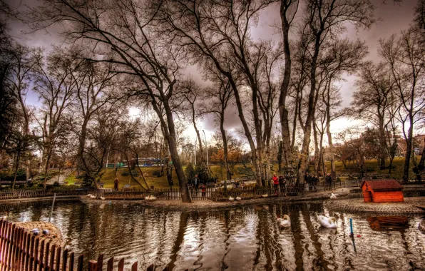 Autumn, trees, pond, photo, treatment, Nature, trees, Istanbul