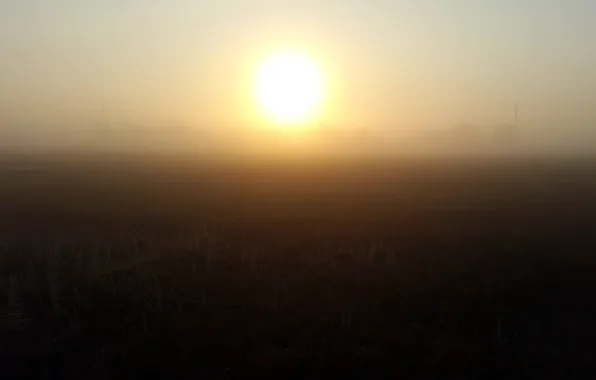 Picture landscape, fog, dawn, morning, Iron Port