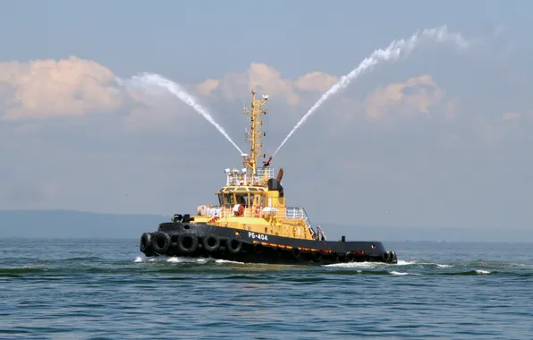 Exercises, Auxiliary Fleet, raid tugboat