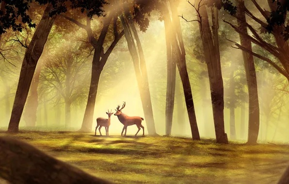 Picture forest, trees, deer, art, horns, ROE, the sun's rays