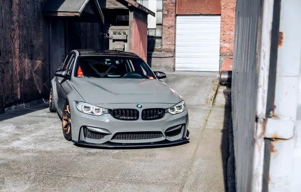 BMW, Wall, Front, F82, Sight, Nardo Gray