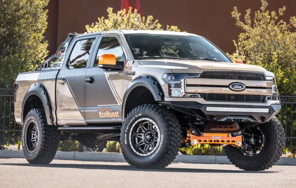 Ford, F-150, Pickup, 2017, CJ Pony Parts, SEMA 2017