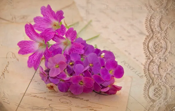 Flowers, vintage, lilac, geranium, letters, cards
