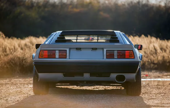 Picture Lotus, Esprit, rear view, Lotus Esprit Turbo