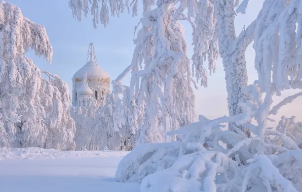 Picture winter, snow, trees, frost, the snow, temple, Russia, dome