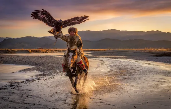 Picture Eagle, Mongolia, Horse, eagle hunter, Ulgii