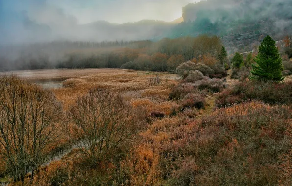 Autumn, landscape, fog, Bay, gorge, Spain, Laguna, gloomy