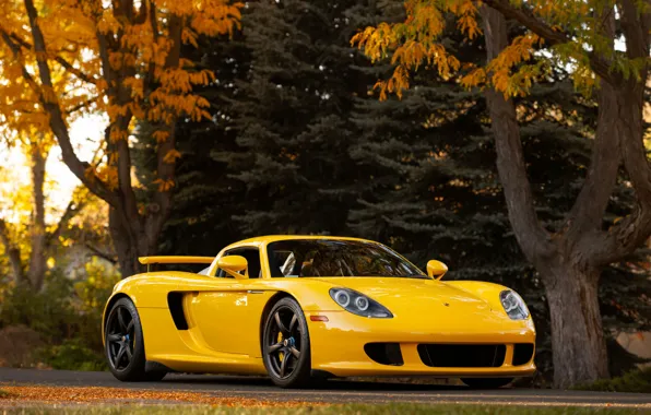 Picture Porsche, yellow, Porsche Carrera GT