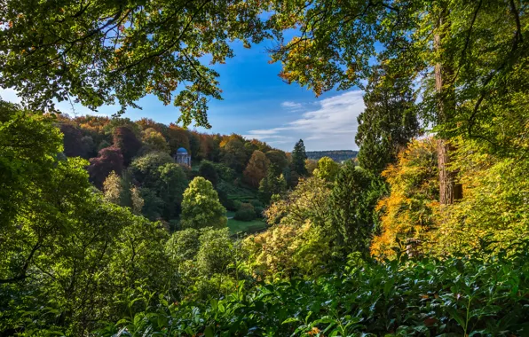 Autumn, trees, lake, England, Stored, England, Wiltshire, Stourhead Garden