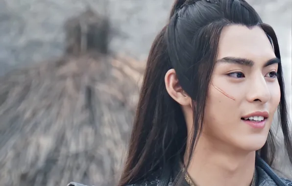 Hairstyle, scar, antagonist, drama, The Untamed, The Indomitable Lord of Chenqing, Wang Hao Xuan, Xue …