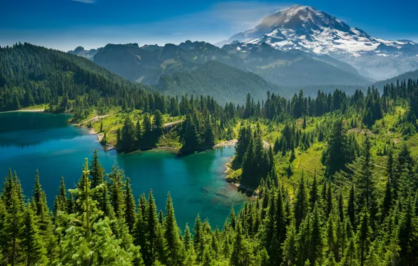 Forest, trees, mountains, lake, Mount Rainier, The cascade mountains, Eunice Lake, Washington State