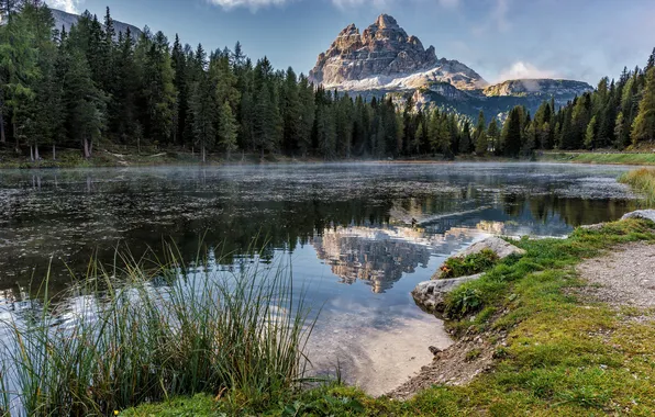 Forest, the sky, grass, mountains, lake, reflection, shore, the slopes