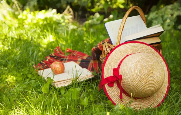 Picture summer, grass, nature, basket, books, Apple, hat, hat