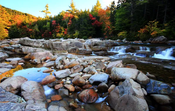 Fall, Stones, Nature, Forest, Autumn, Forest, Stream, Autumn