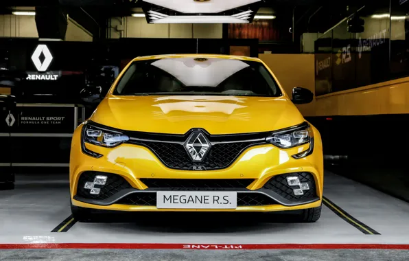 Renault, front view, hatchback, 2018, Trophy, Megane RS