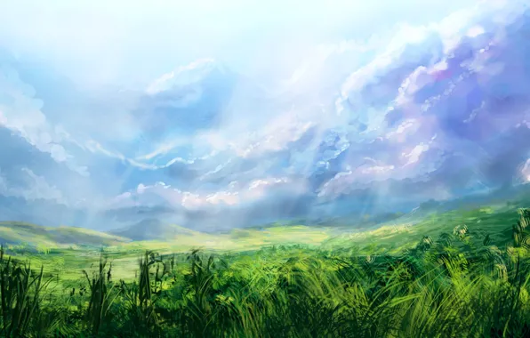 Field, the sky, grass, light, alexlinde (devart)