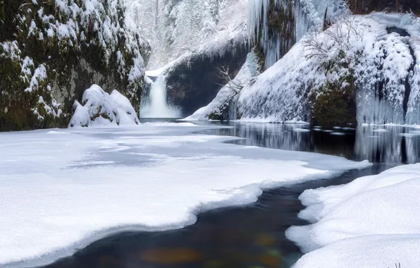 Winter, forest, snow, river, waterfall