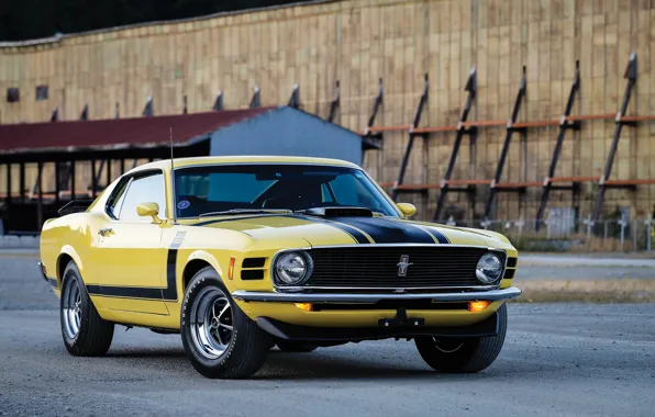 Mustang, Ford, Mustang, Boss 302, Ford, 1970