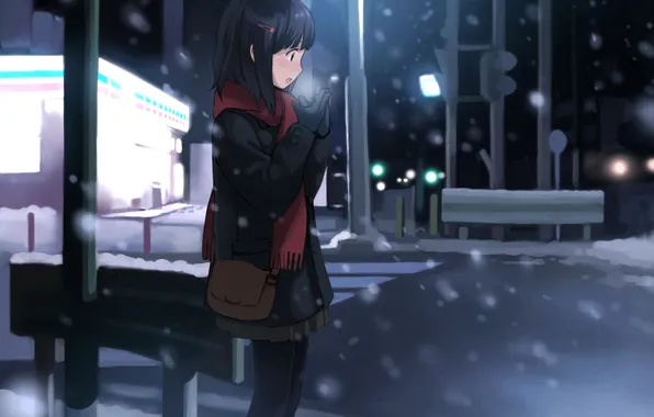 Winter, road, girl, snow, the city, anime, scarf, art