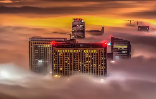 Night, lights, fog, the building, skyscraper