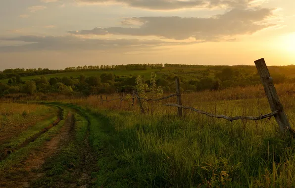 Picture road, field, landscape, sunset, nature, the fence