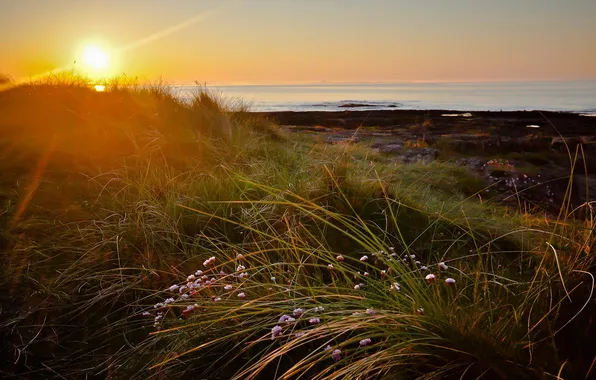 Sea, landscape, sunset