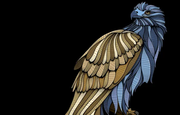 Abstraction, bird, eagle