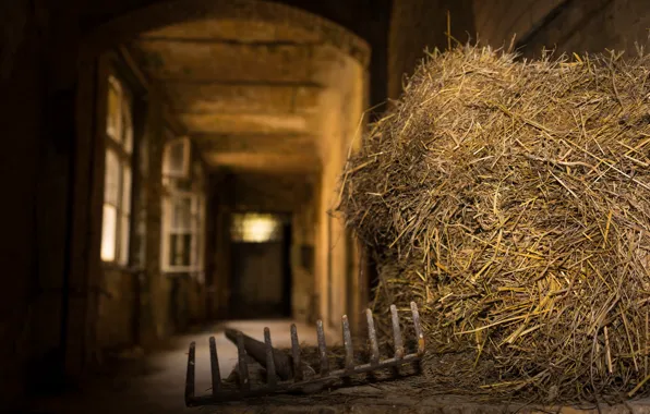 Picture the barn, hay, bokeh, rake