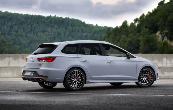 Picture side view, universal, Seat, 2015, Leon Cupra ST