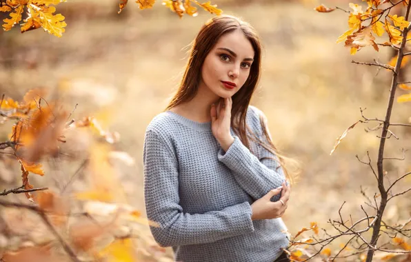Autumn, look, leaves, the sun, branches, nature, pose, model