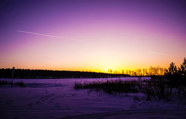 Winter, road, forest, the sky, grass, snow, trees, sunset