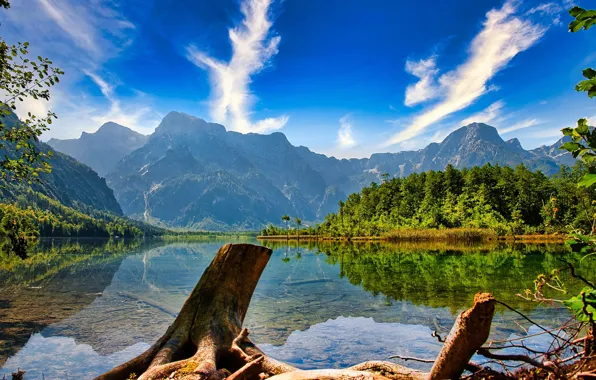 Picture forest, mountains, lake, reflection, Austria, Alps, Austria, Alps