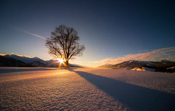 Winter, the sun, snow, tree, Austria